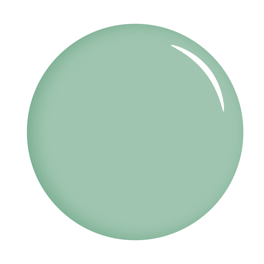 The Gel Expert Gelpolish - Mint