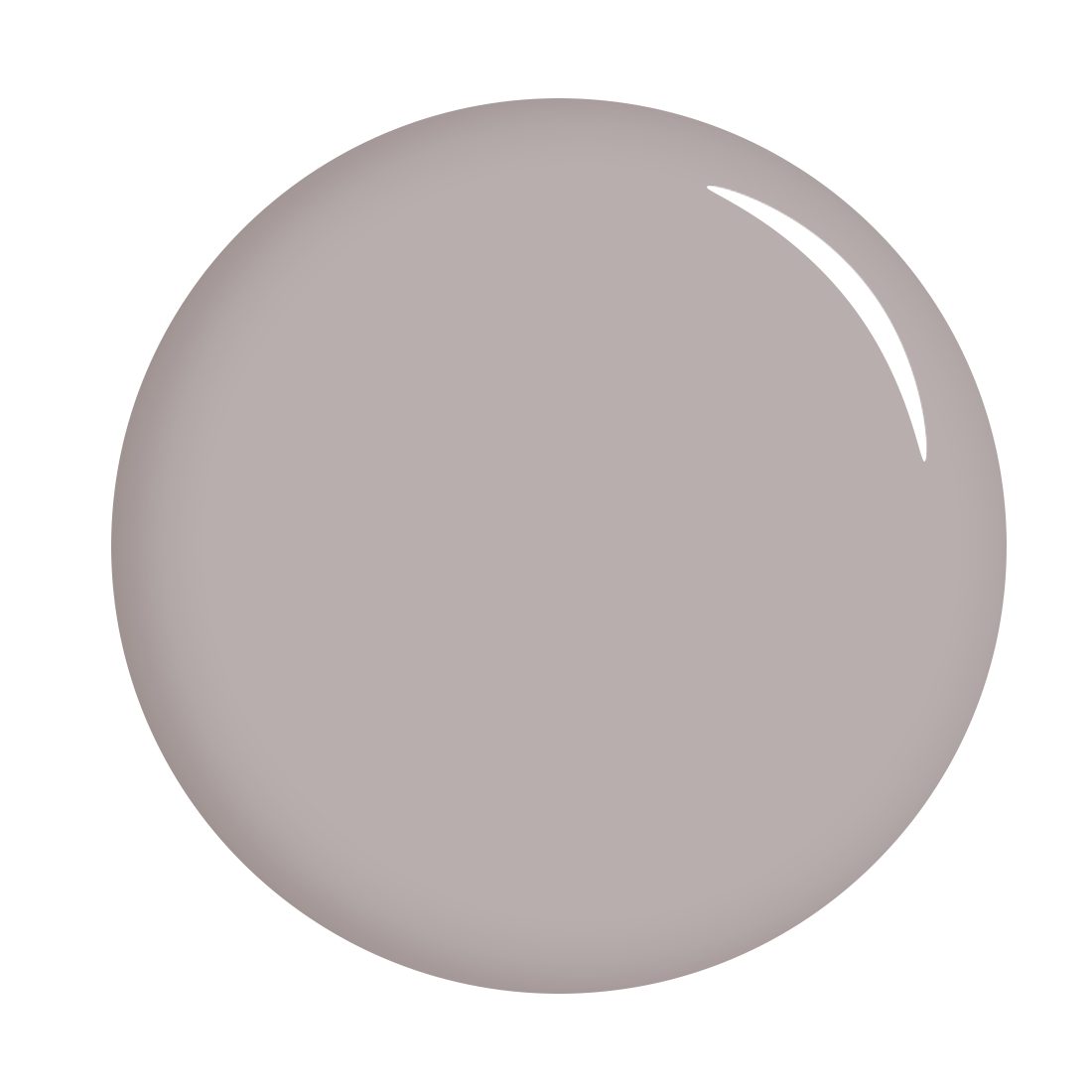 The Gel Expert Gelpolish - Nebel
